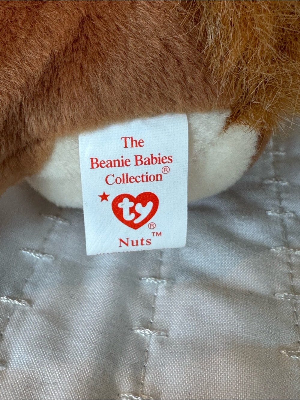 Nuts the Squirrel Beanie Baby - Picture 7 of 8